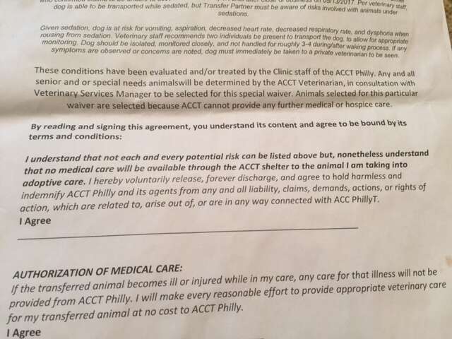 Picture of release letter from dog shelter