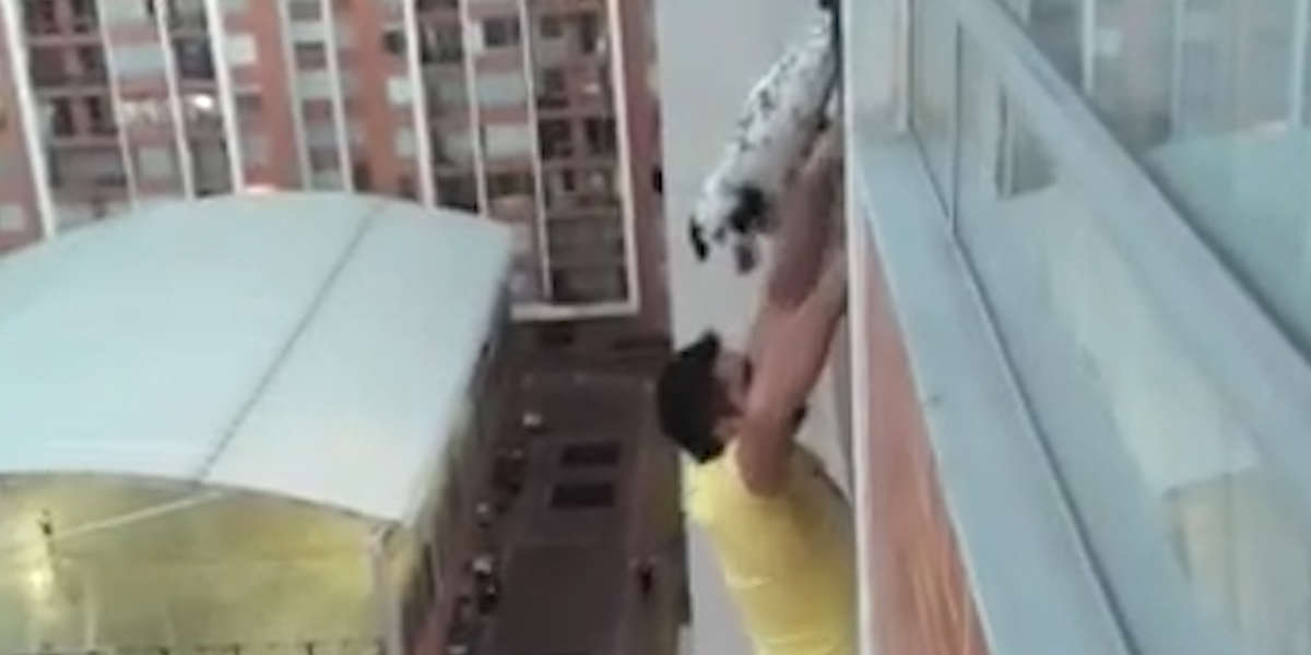 Guy Saves Dog From Balcony Videos The Dodo