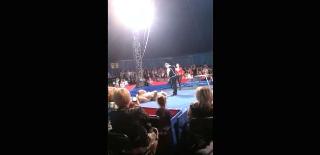 Ukraine circus bear performing