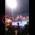 Ukraine circus bear lunges into audience