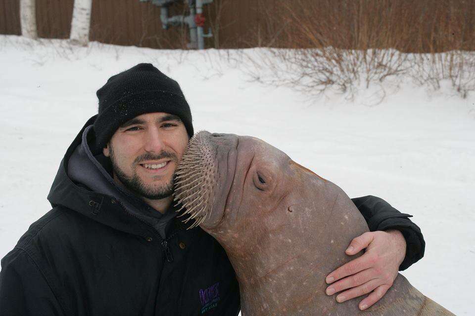 Phil Demers with Smooshi the walrus at Marineland