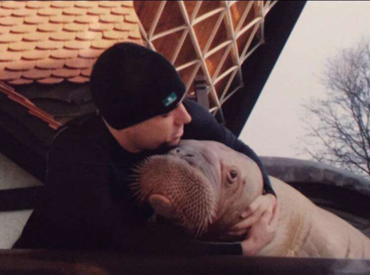 Phil Demers and Smooshi the walrus at Marineland