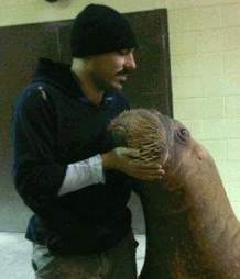 Phil Demers with Smooshi the walrus