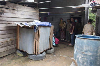 Wooden crate where wild orangutan was forced to live