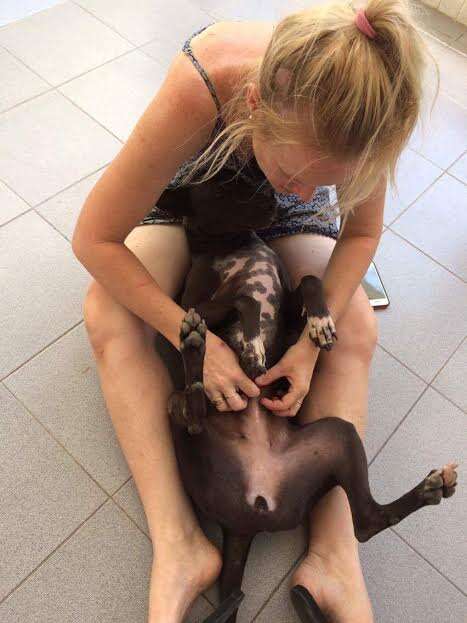 Woman with rescued street dog