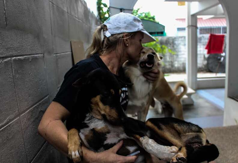 Woman with rescued dogs in Thailand