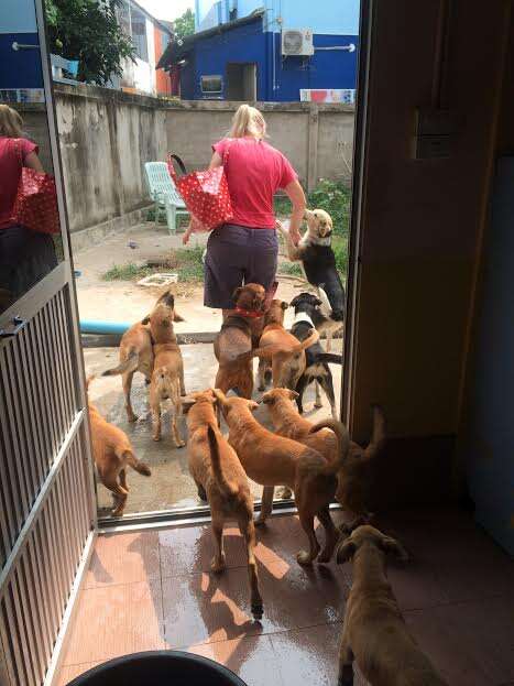Woman with rescued dogs