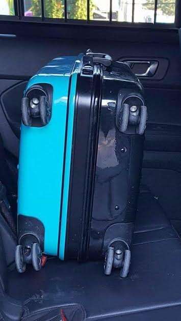 Hard suitcase containing dog