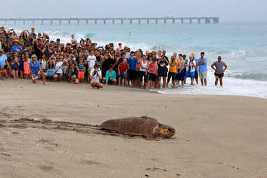 Juno Beach Florida 