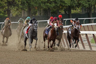 belmont stakes