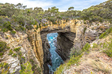 Tasman Arch