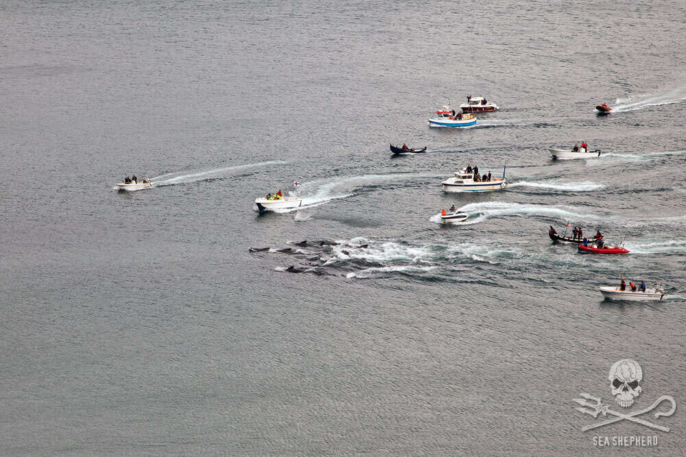 Boats driving ways into a bay in the Faroe Islands