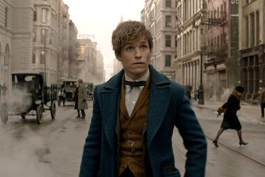 fantastic beasts and where to find them