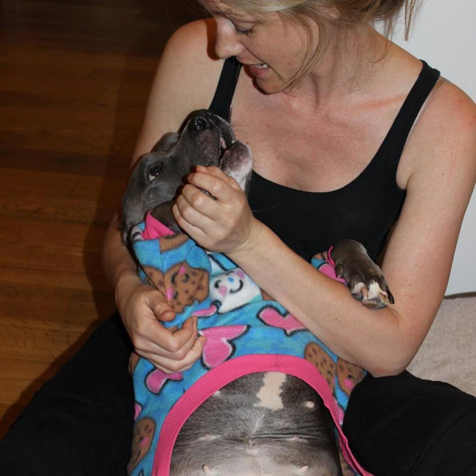 Dog Whose Ears Were Bitten Off Finally Has A Family Who Loves Her The