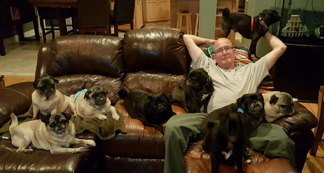 Man and his rescue dogs