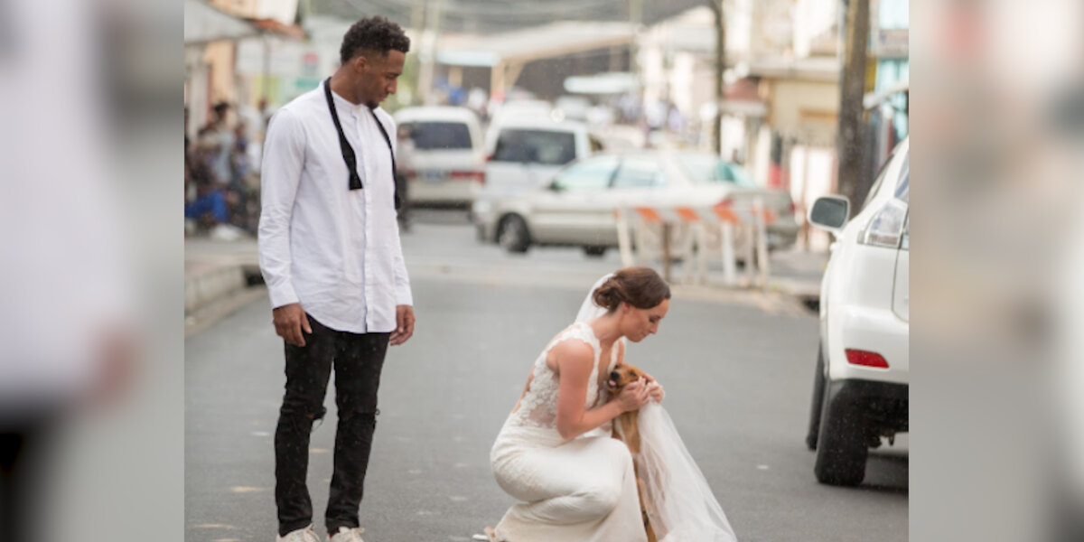 NFL’s Logan Ryan Uses Wedding To Raise Money For Stray Dogs - The Dodo