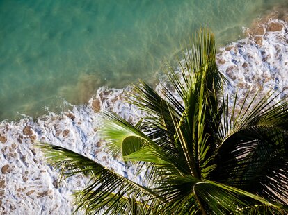 everything to do in honolulu this summer