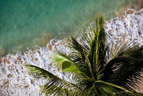 everything to do in honolulu this summer