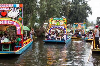 Xochimilco's Floating Gardens