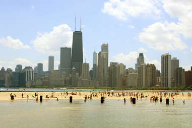Dog beach chicago