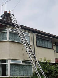 kitten rescued from chimney