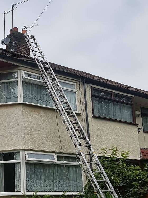 kitten rescued from chimney