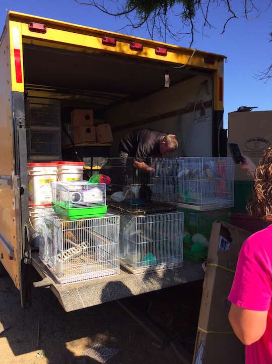 955 Live Animals Saved From Abandoned Truck In California - The Dodo