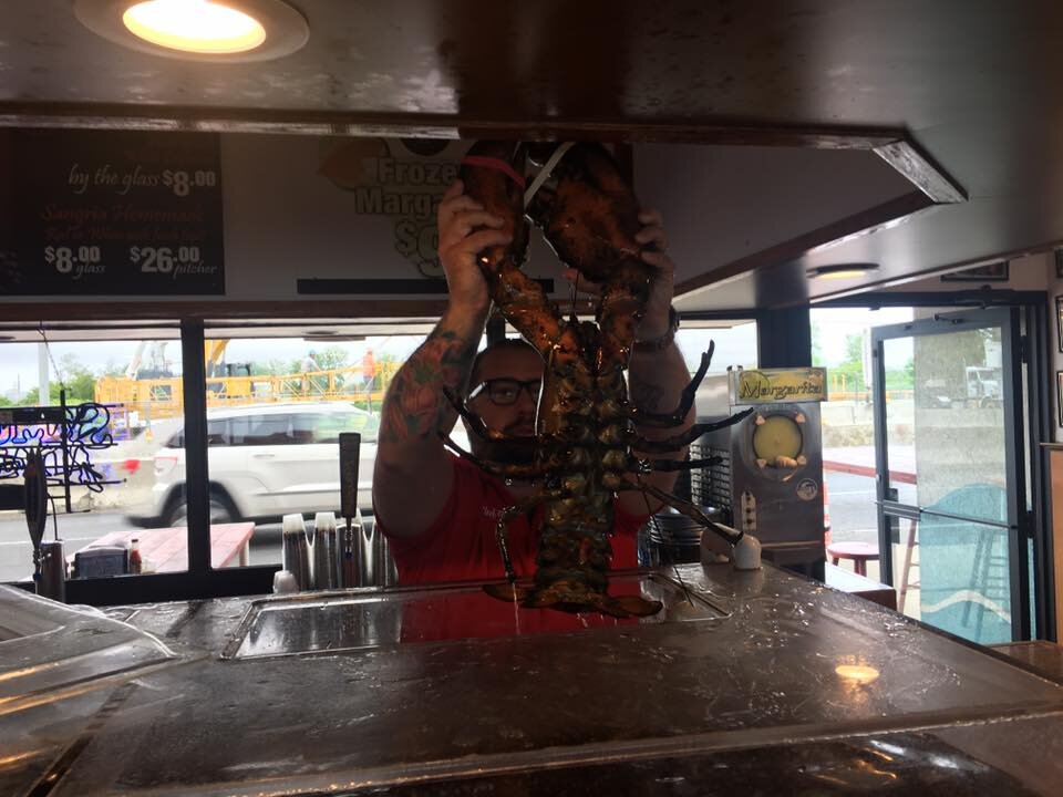 132YearOld Lobster Released Into Ocean From Restaurant Tank Thrillist