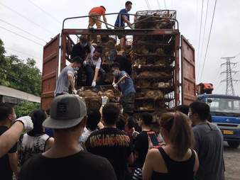 Rescuers helping dog meat dogs