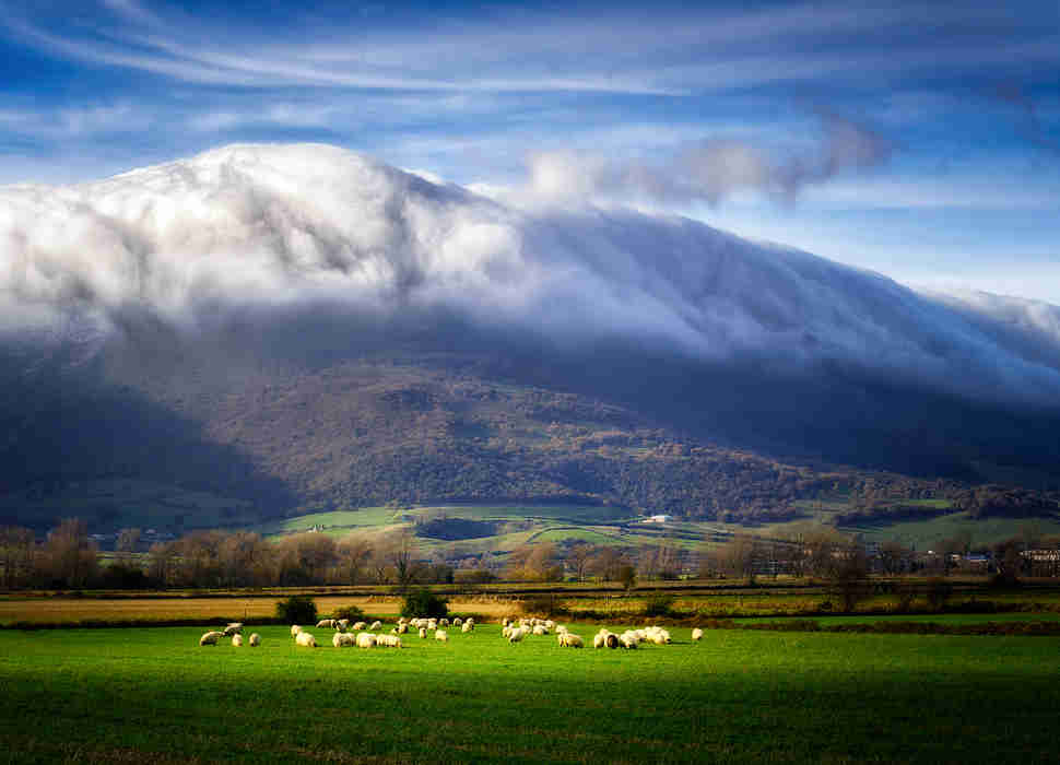 Ayala Valley 