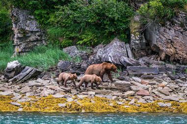 Katmai National Park and Preserve