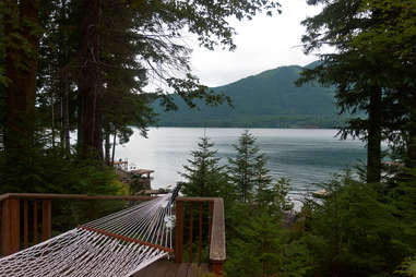 hammock in Hoosdport washington