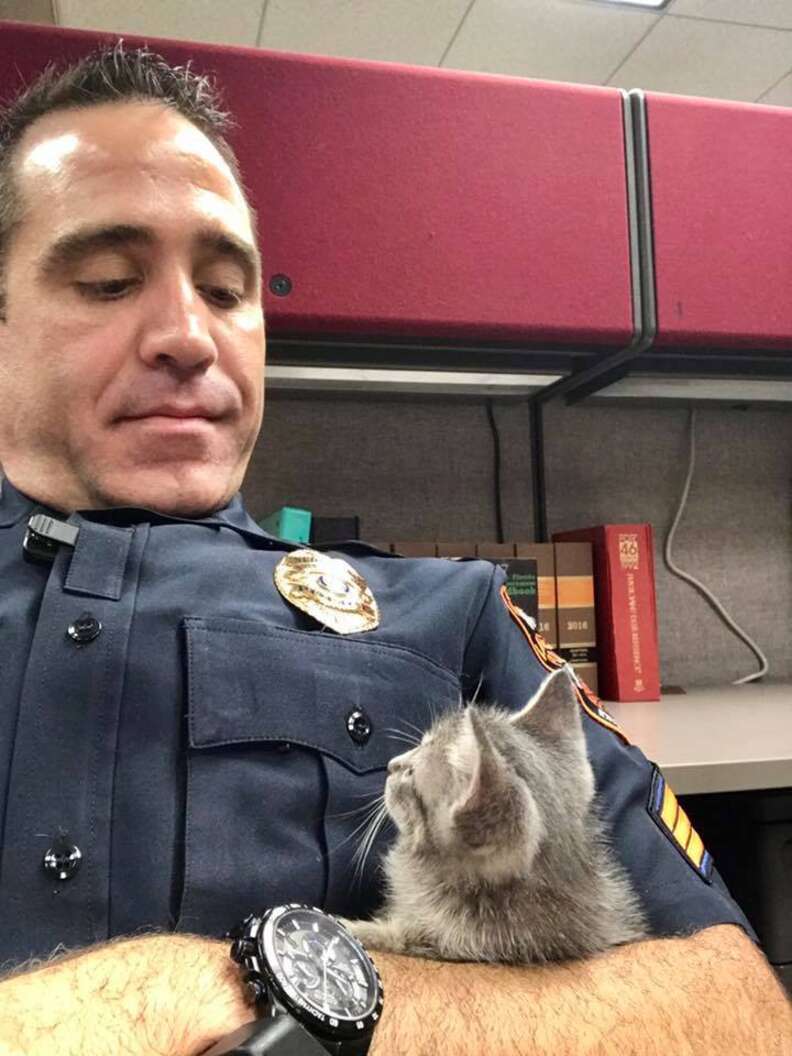 Police officer rescues cat running loose on bridge