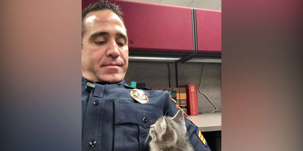 Cop Adopts Stray Kitten - The Dodo