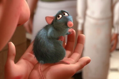 ratatouille