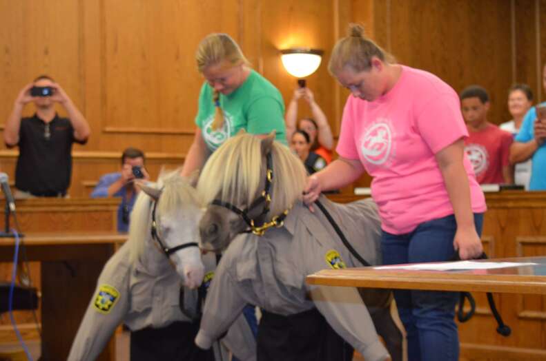 Mini therapy horses become deputies