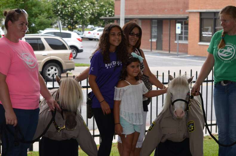 Mini therapy horses sworn in as deputies