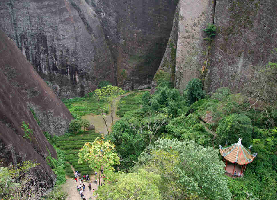 Wuyi Mountains