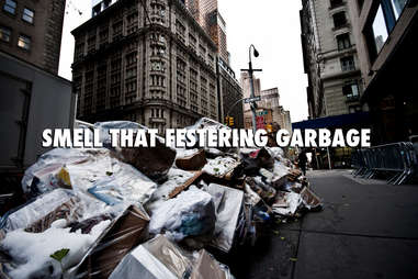 Garbage New York Summer