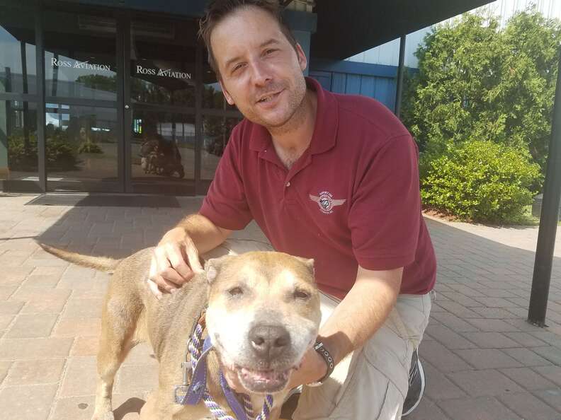 Pilot with shelter dog he flew to rescue