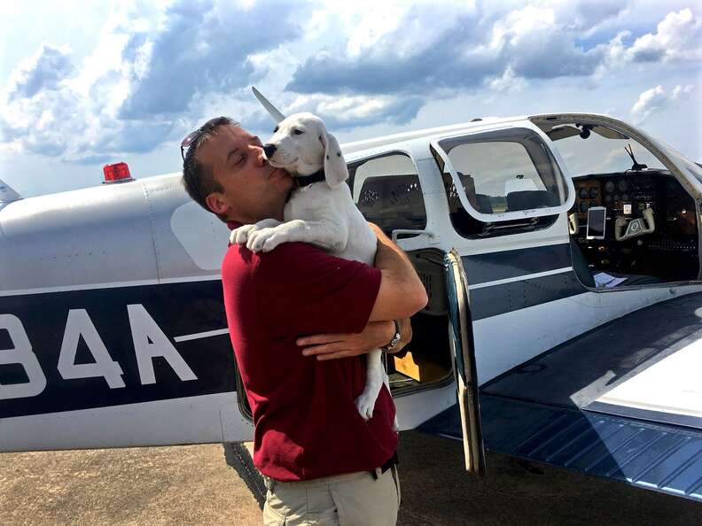 Pilot with plane and rescue dog