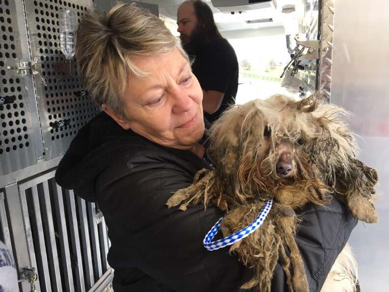 Woman holding matted dog rescued from dog meat farm