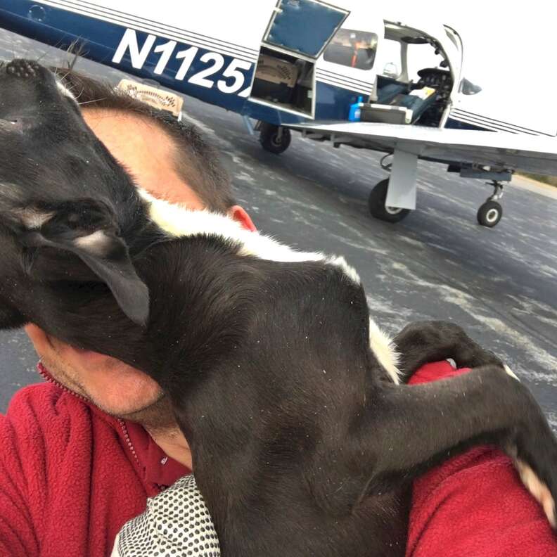 Pilot rescuing shelter dog