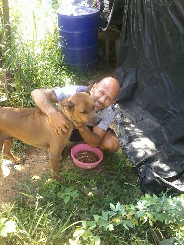 Man feeding street dog in Thailand