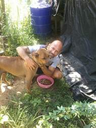 Man feeding street dog in Thailand