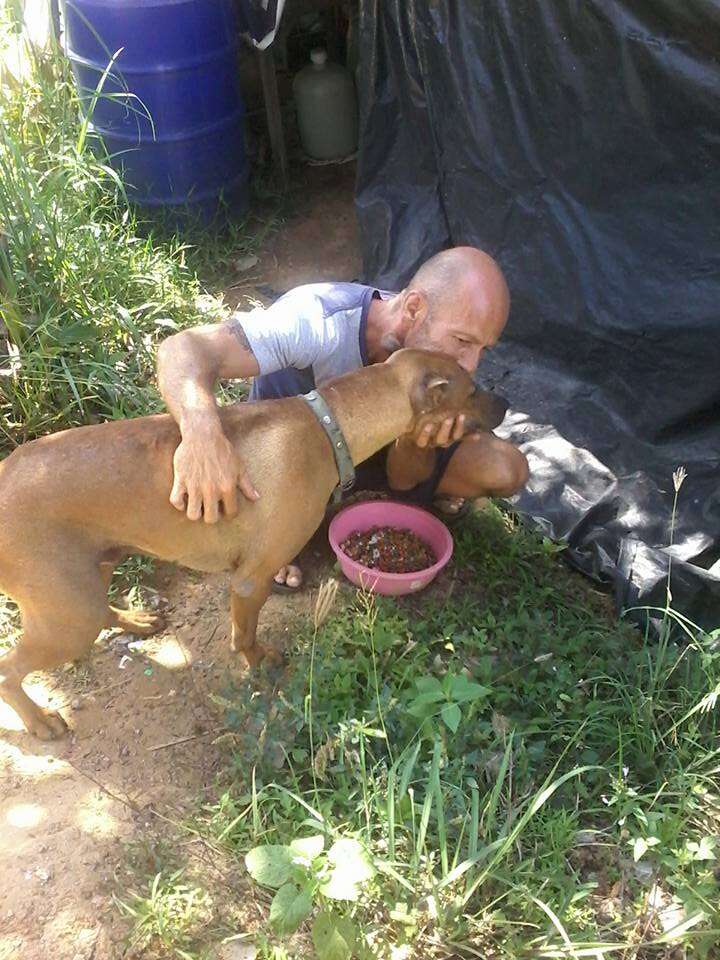 Man feeding street dog in Thailand