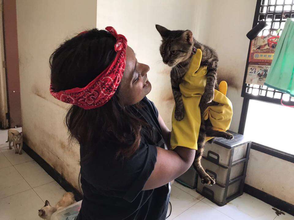 Woman holding rescued cat