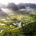Vietnamese Rice Field