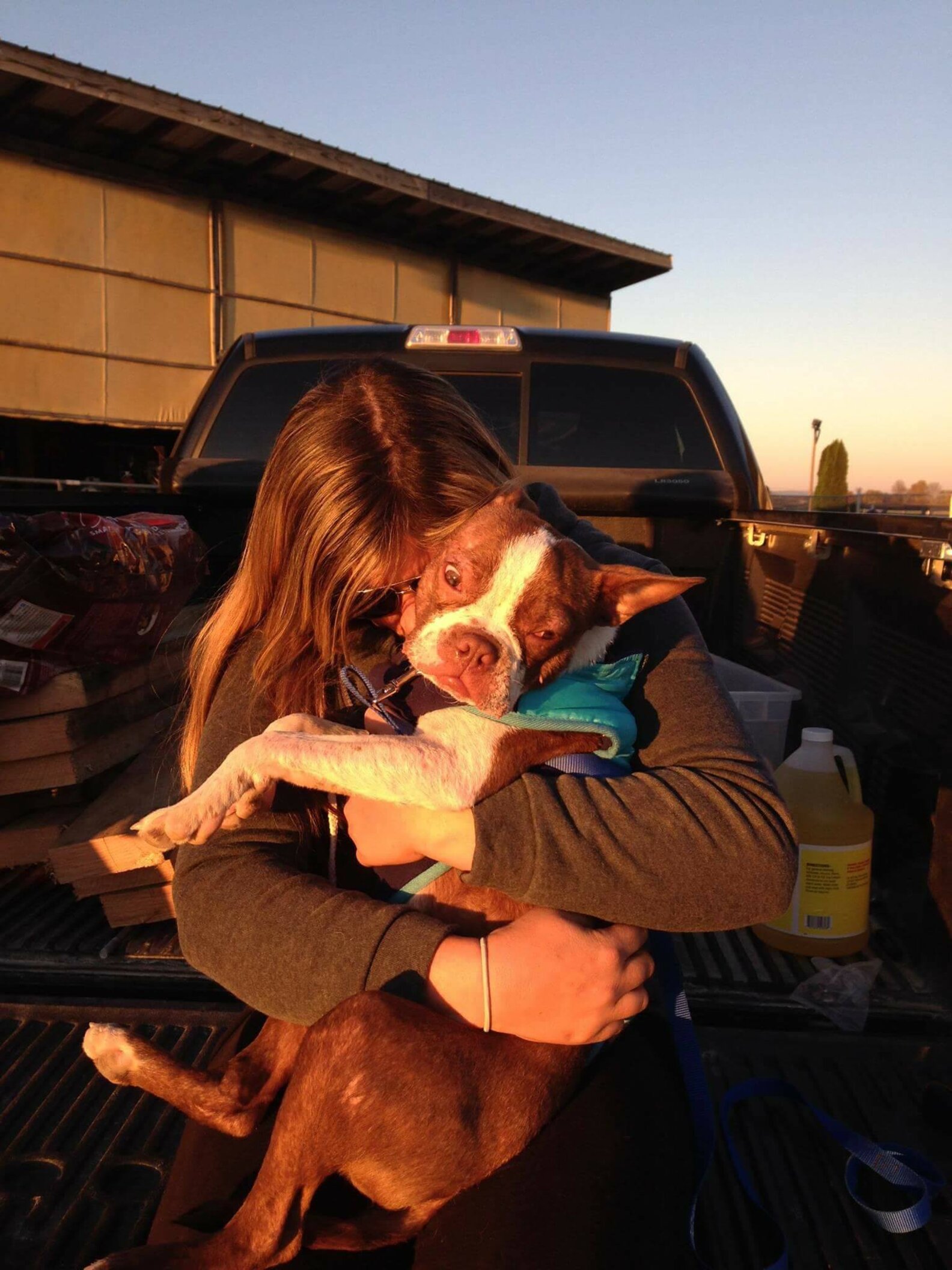 Neglected Puppy Gets Animal Cruelty Law Passed In His Name The Dodo