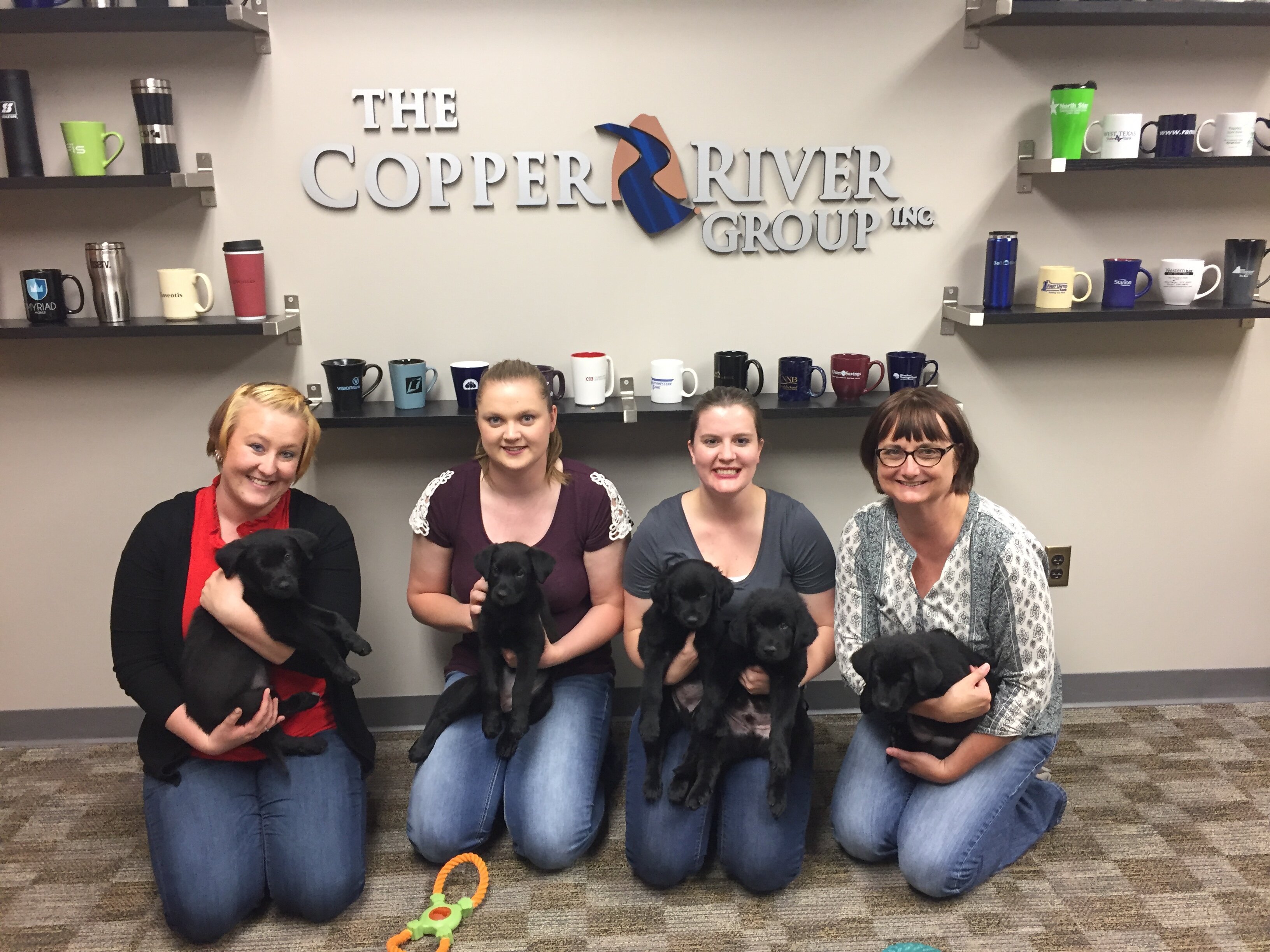Puppies Visit Local Businesses To Help Them Get Adopted The Dodo